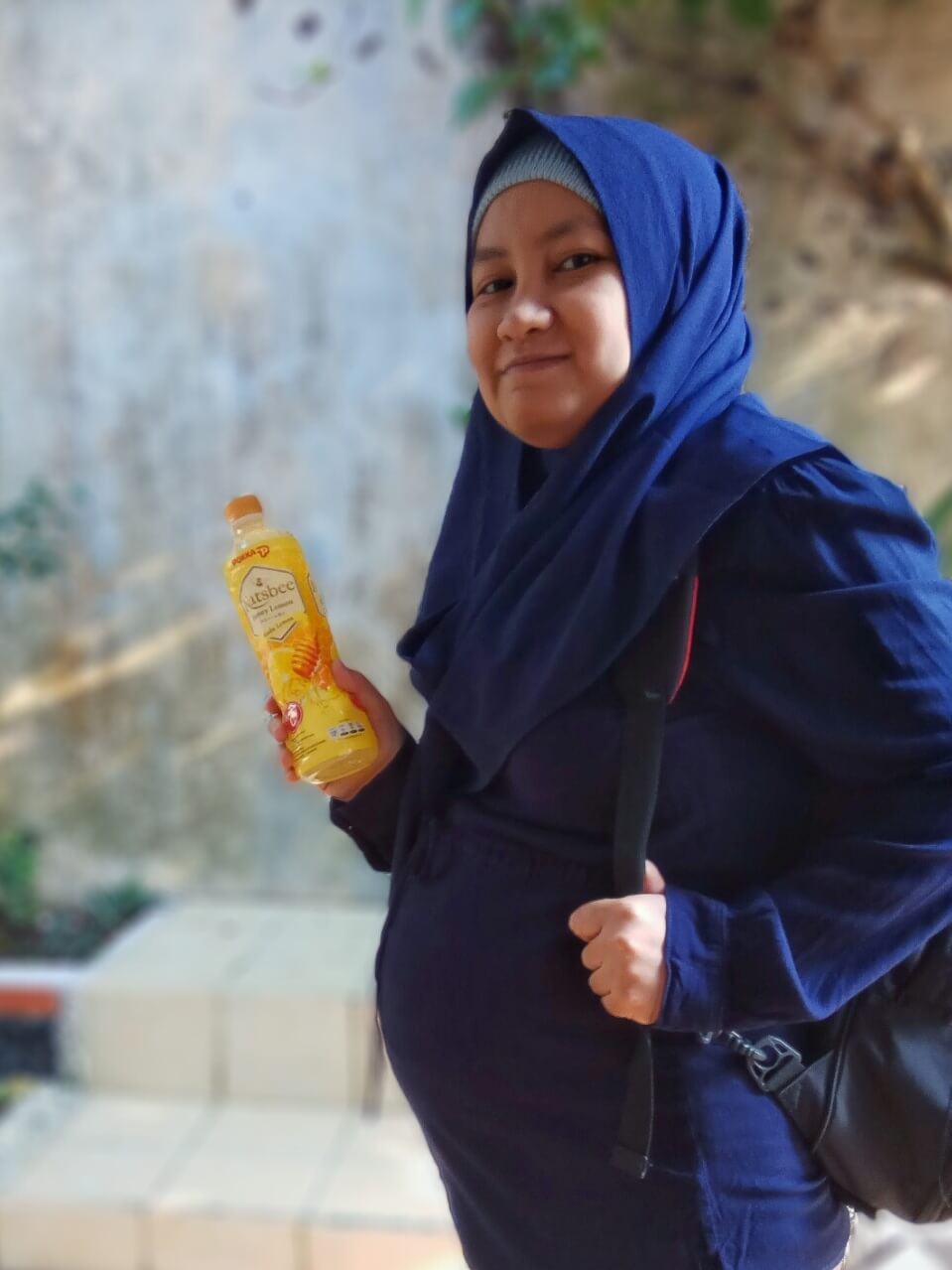 bawa asik tanpa toxic ala ibu hamil honeymoonjournal.com