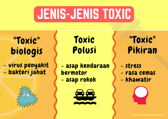 jenis toxic asik tanpa toxic ala ibu hamil honeymoonjournal.com
