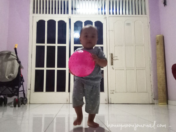 kabay bola kabay 14 bulan honeymoonjournal.com