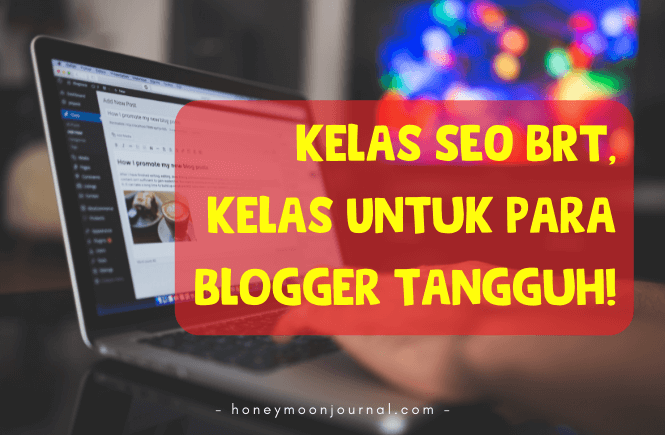 kelas seo brt