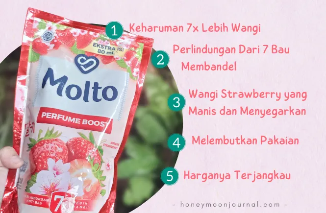 pelembut dan pewangi pakaian molto